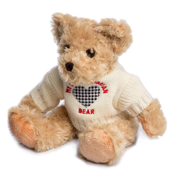 Northumberland tartan teddy bear